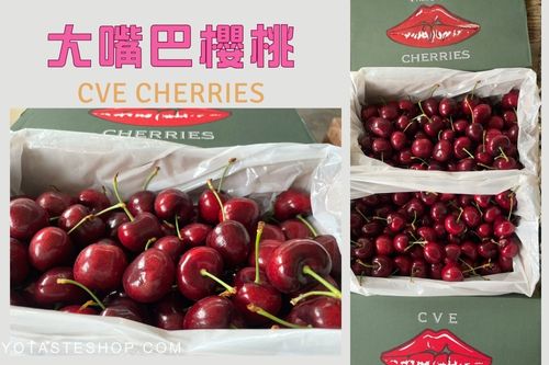 大嘴巴櫻桃，進口水果禮盒